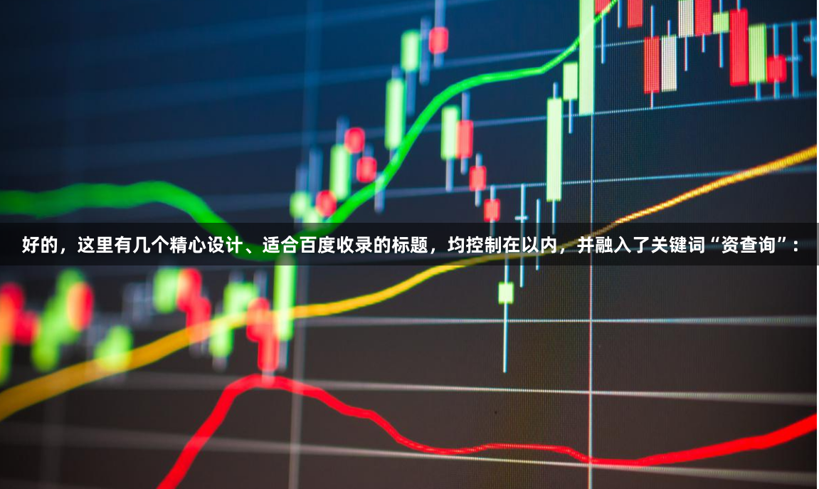 好的，这里有几个精心设计、适合百度收录的标题，均控制在以内，并融入了关键词“资查询”：