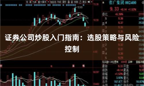 证券公司炒股入门指南：选股策略与风险控制