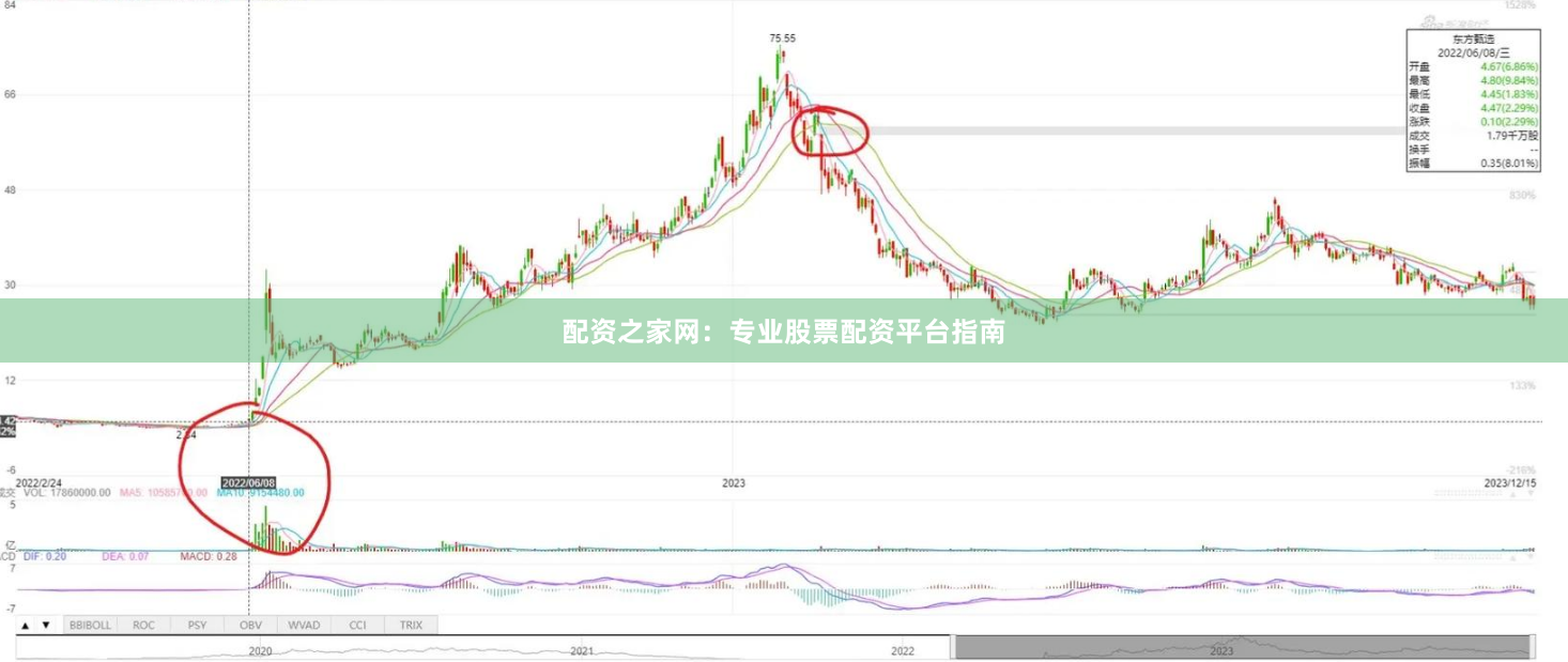 配资之家网：专业股票配资平台指南